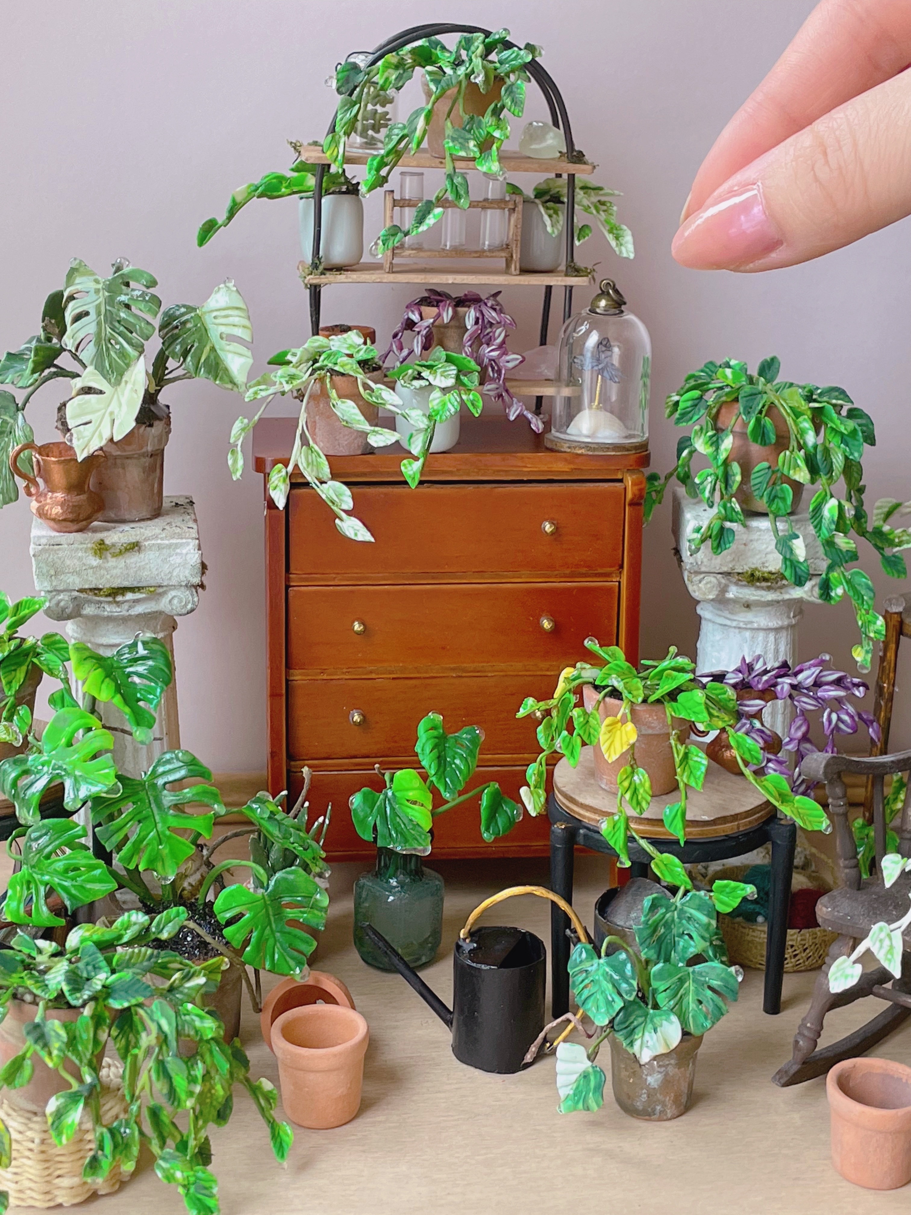Set up of miniature plants in a diorama display
